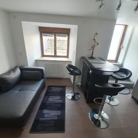 Ferienwohnung Les Berges Du Moulin Ensisheim Exterior foto
