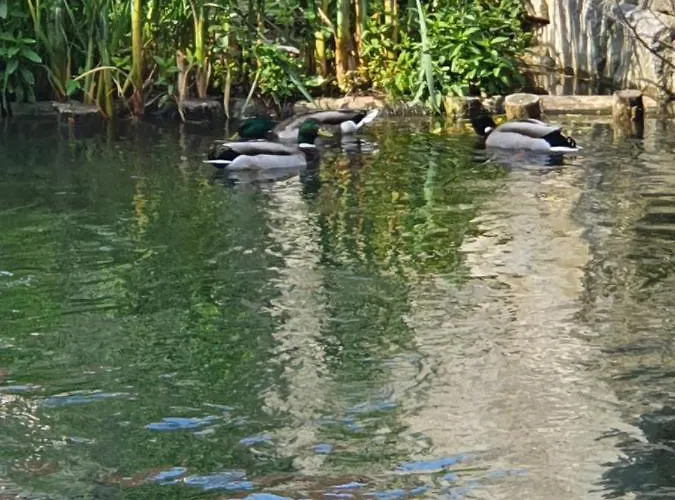 Les Berges Du Moulin