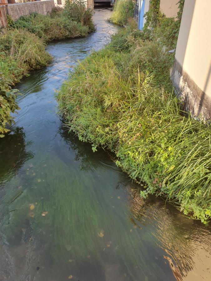 Les Berges Du Moulin Apartment Ensisheim